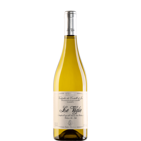 Verdicchio DOCG Riserva Le Vaglie - Santa Barbara