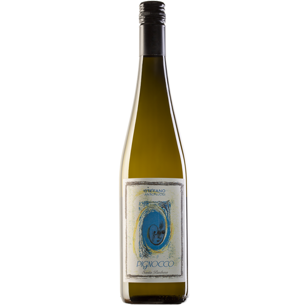 Verdicchio DOC 'Pignocco' - Cantina Santa Barbara